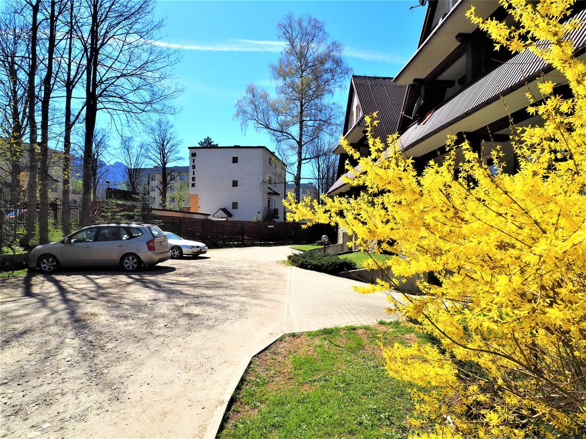 Vip Apartamenty Centrum Przy Rowni 자코파네 외부 사진